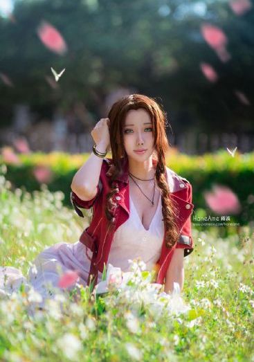 驯服高傲女