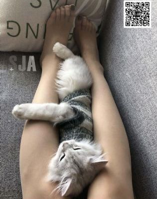 女高中生的腰姿