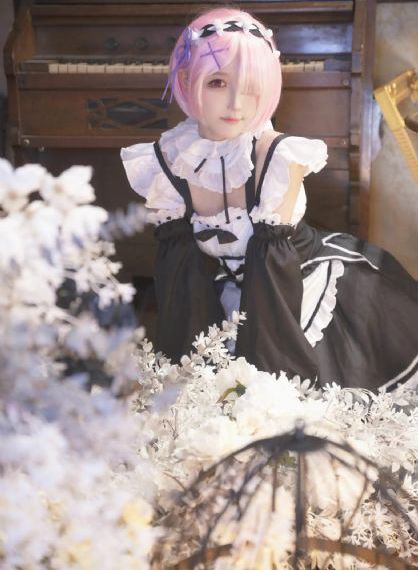 少年梦游记综艺免费观看完整版