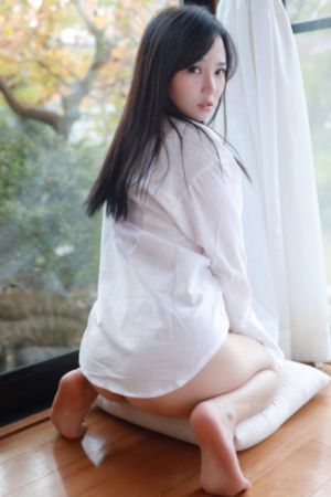 飞天小女警z国语版