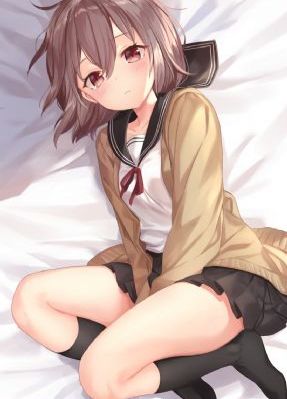 疯狂动物城 中文版