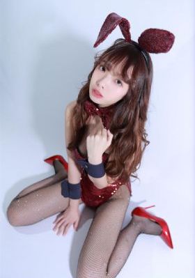 完美伴侣